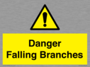 danger-falling-branches~